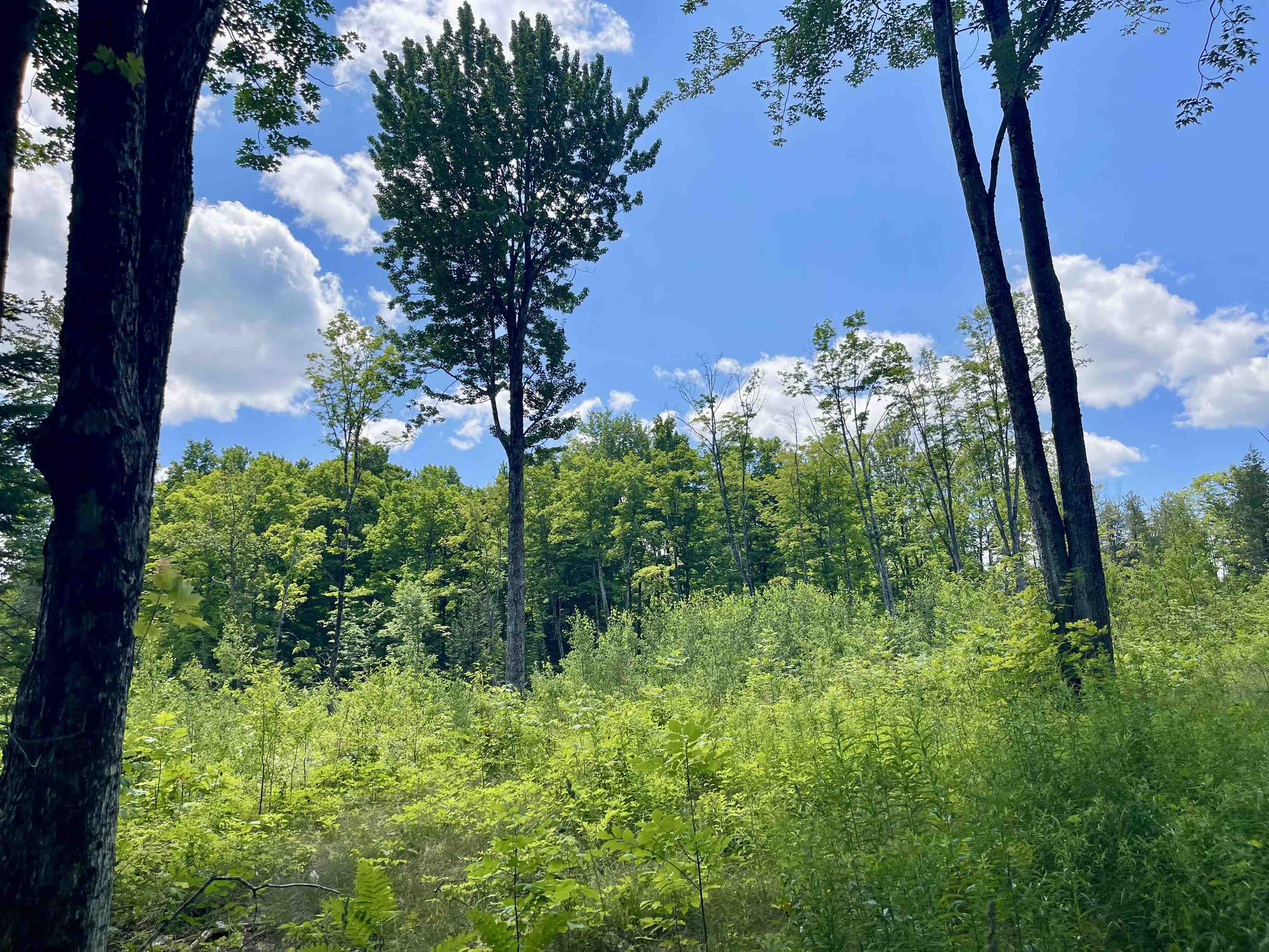 2209 Underpass Road Sutton, VT 05867 - Photo 5 of 5