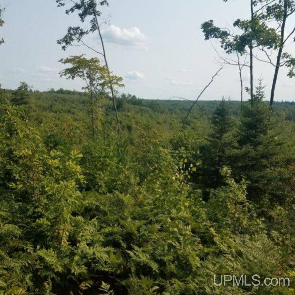 4620 County Rd Cove Champion, MI 49814 - Photo 31 of 32