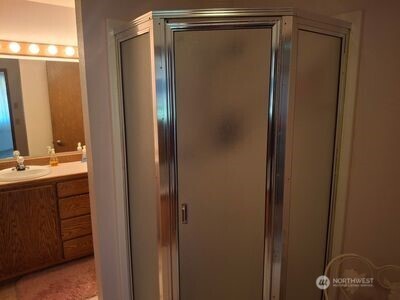37896 Snake River Road Asotin, WA 99402 - Photo 8 of 23 a bathroom with a shower and a sink