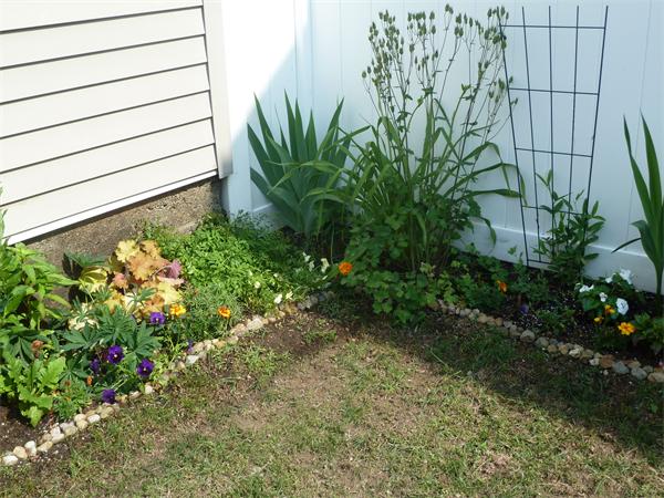 14-16 Cottage Place, Unit 14 Newton, MA 02465 - Photo 16 of 21