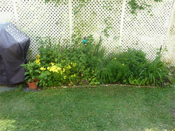 14-16 Cottage Place, Unit 14 Newton, MA 02465 - Photo 18 of 21