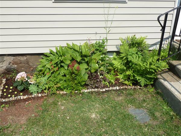 14-16 Cottage Place, Unit 14 Newton, MA 02465 - Photo 19 of 21