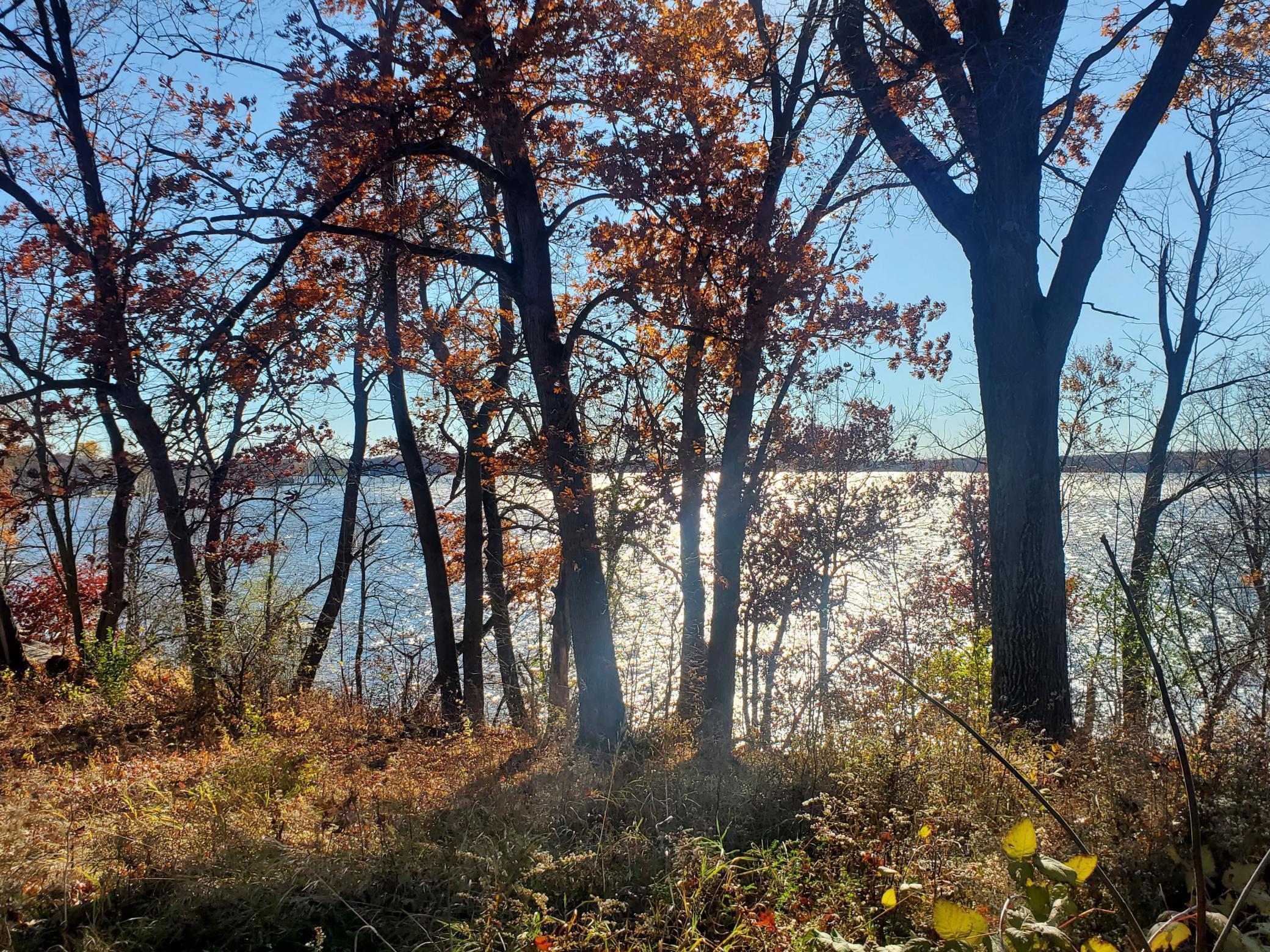 Lot 3 East Cedar Lake Star Prairie, WI 54026 - Photo 3 of 8