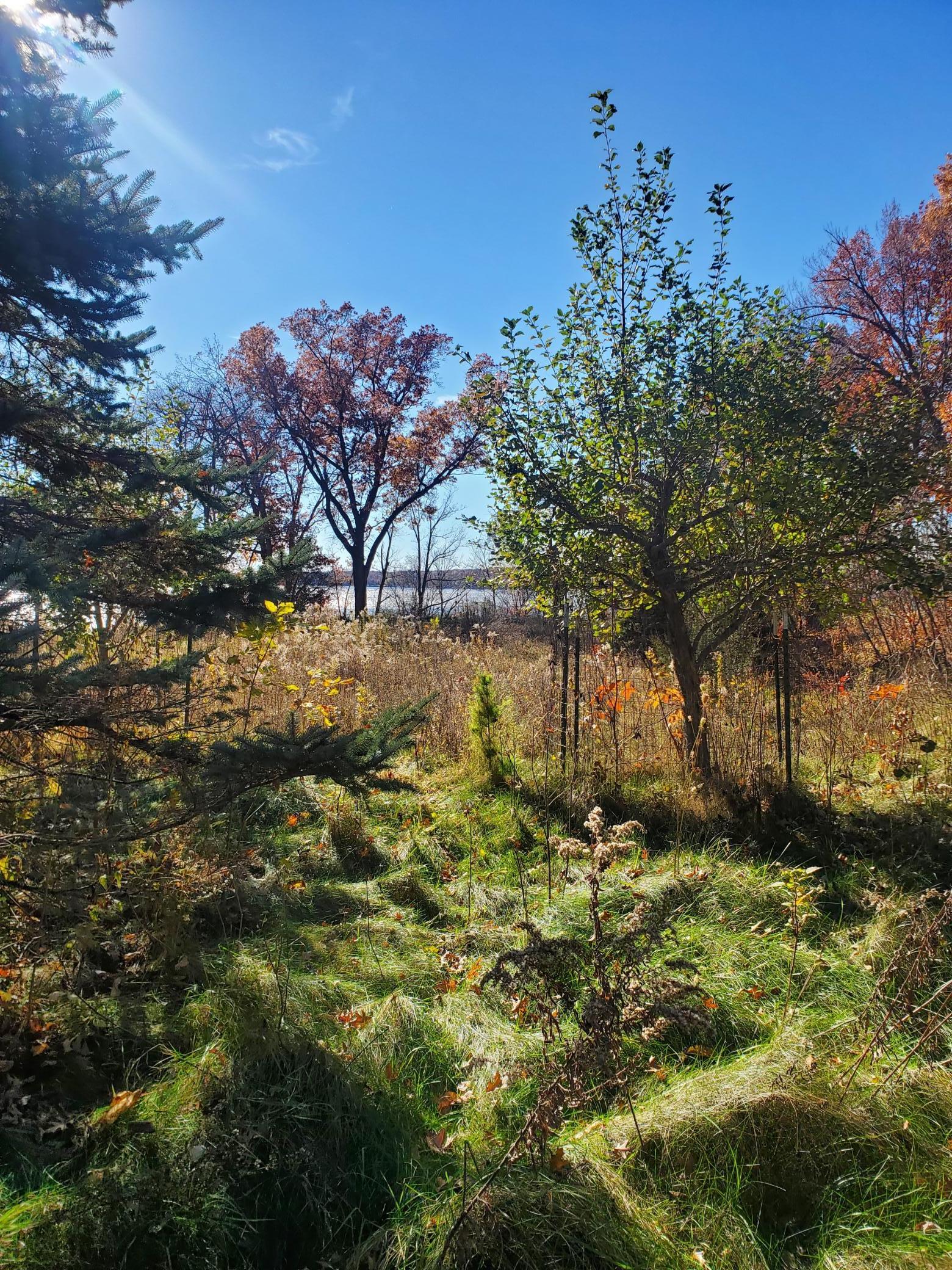 Lot 3 East Cedar Lake Star Prairie, WI 54026 - Photo 6 of 8