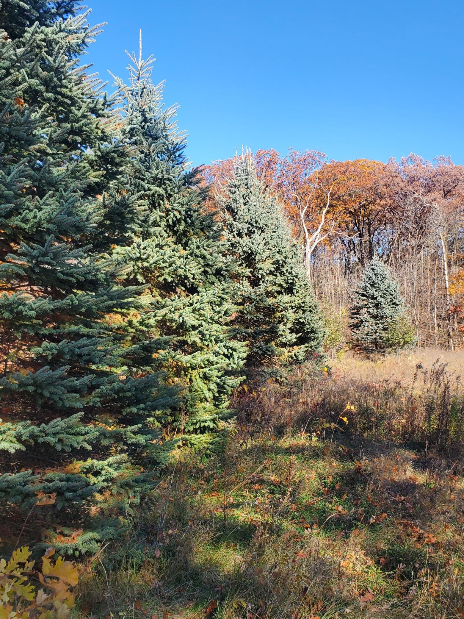 Lot 3 East Cedar Lake Star Prairie, WI 54026 - Photo 7 of 8