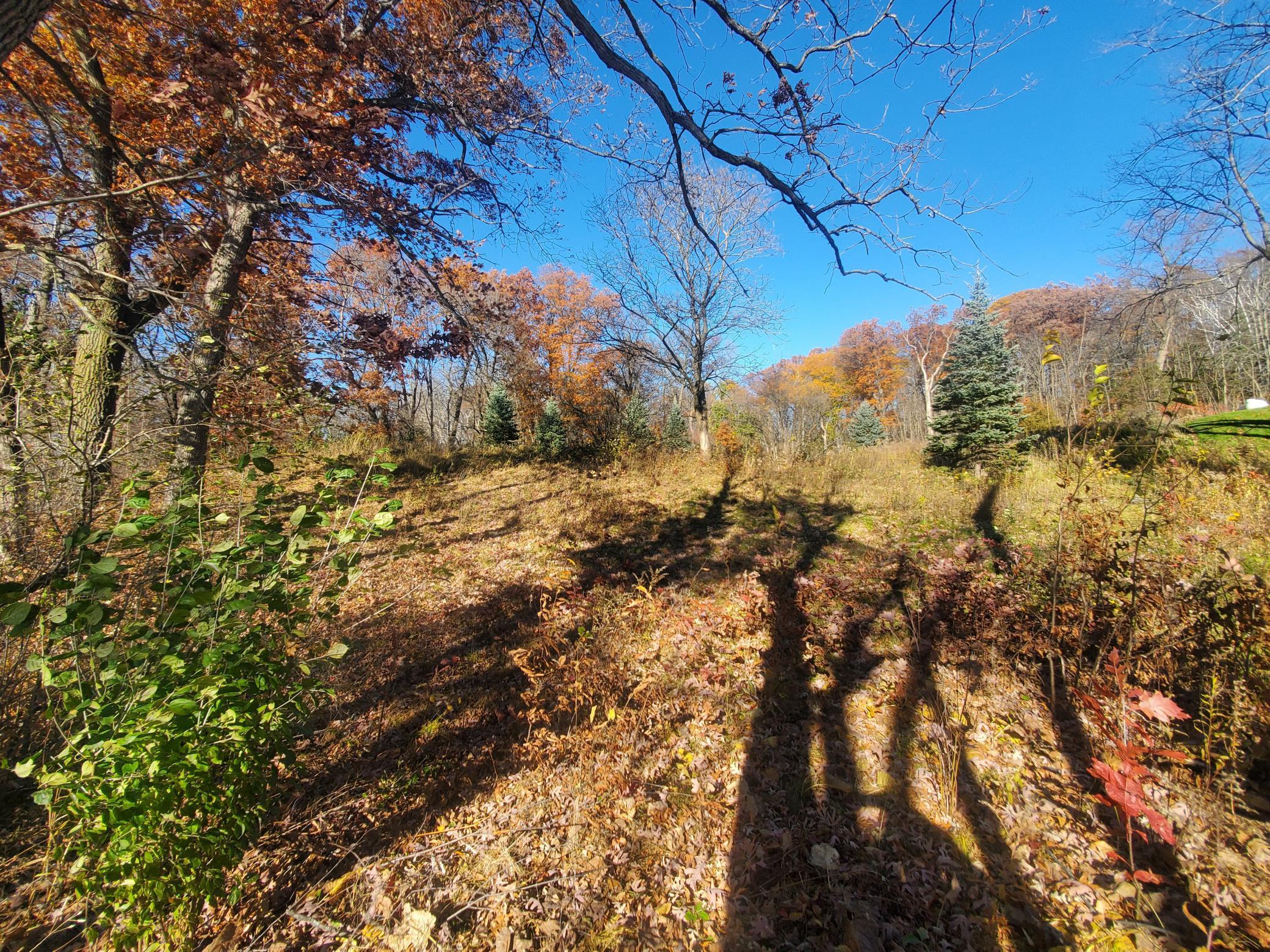 Lot 3 East Cedar Lake Star Prairie, WI 54026 - Photo 8 of 8
