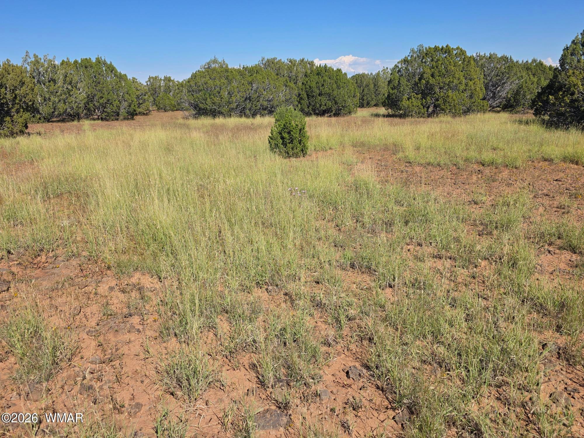 1 8063rd Road Concho, AZ 85924 - Photo 15 of 22 Gallery Image 15