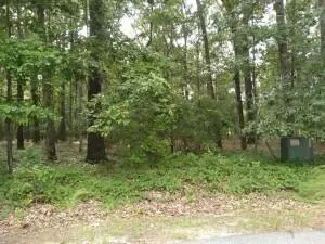 $39,000 | 1 Lake Breeze Elloree Sc 29047, Elloree, SC 29047