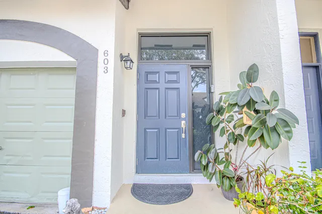 a potted plant sitting in front of a door