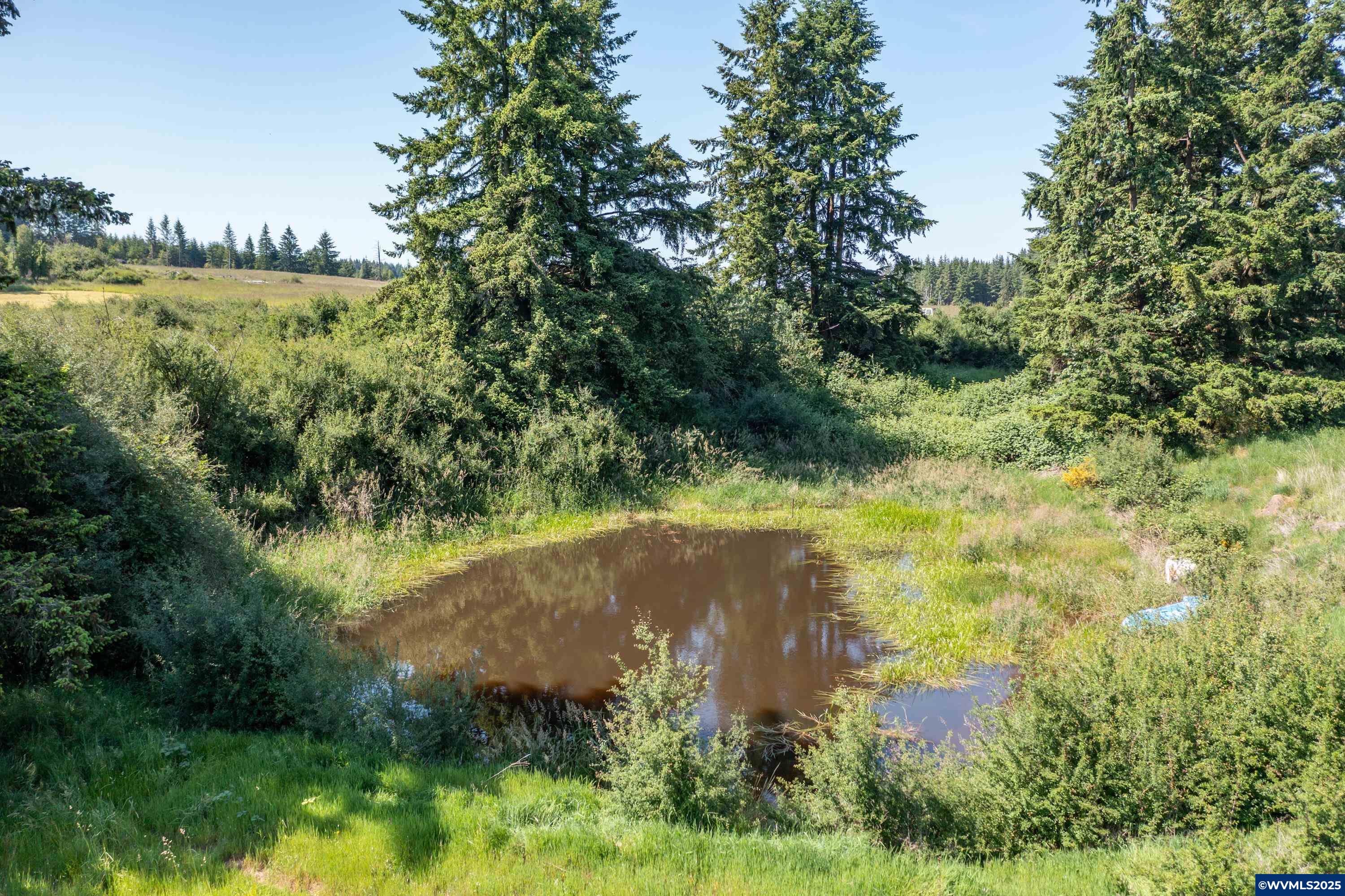 22411 South Schram Road Beavercreek, OR 97004 - Photo 10 of 13
