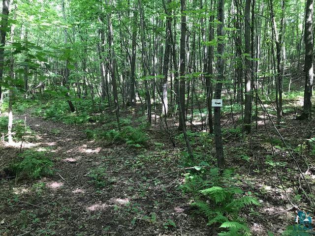 69414 County Rd C High Bridge, WI 54846 - Photo 35 of 41