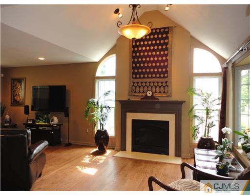 21 Longfield Road New Brunswick, NJ 08901 - Photo 3 of 19 a living room with furniture a fireplace and a flat screen tv
