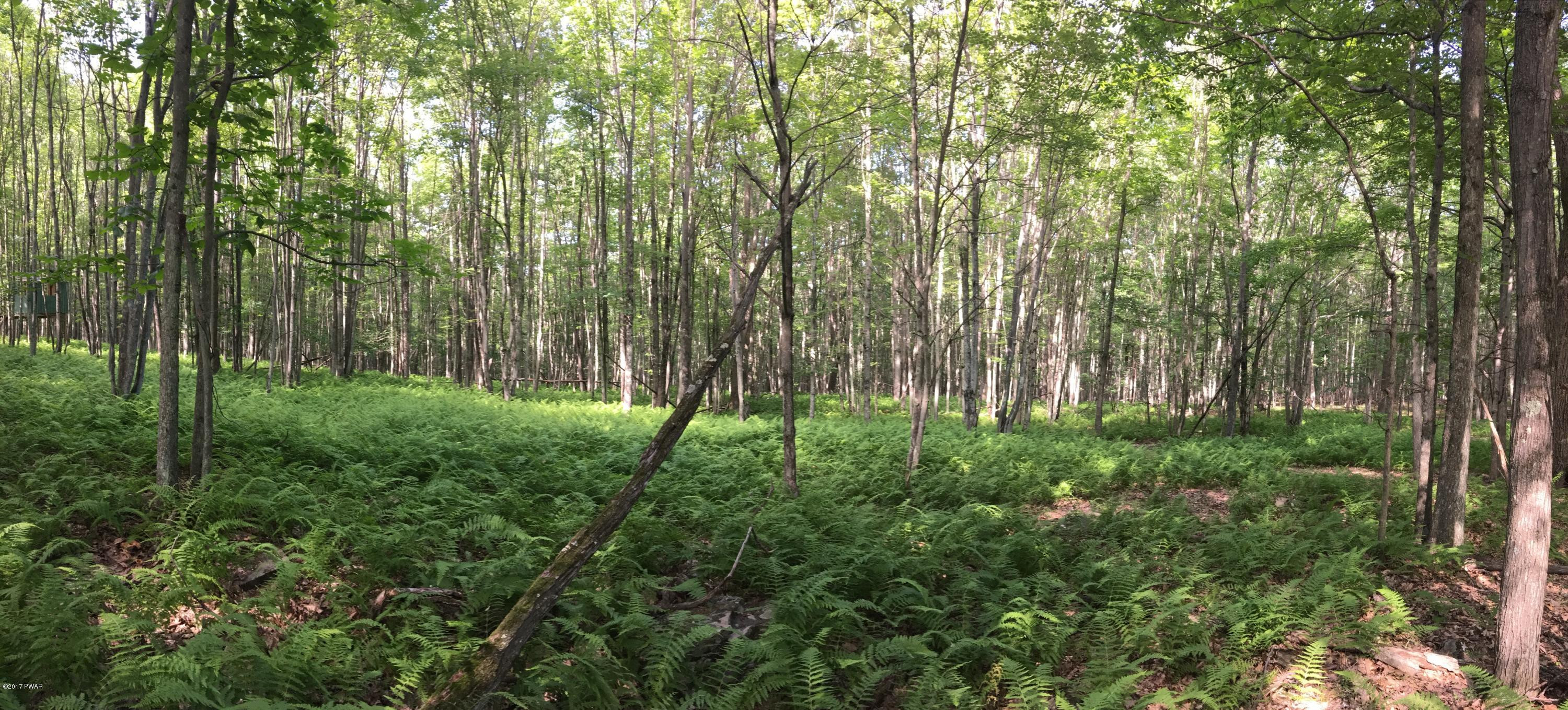 46 Deer Run Road Hawley, PA 18428 - Photo 2 of 7 Panoramic