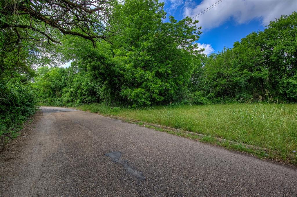 0 Sycamore Street Commerce, TX 75428 - Photo 12 of 14 a view of a street with a yard and a large tree