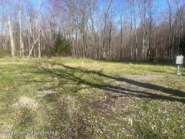 173 Pierce Road Carbondale, PA 18407 - Photo 4 of 6 Land