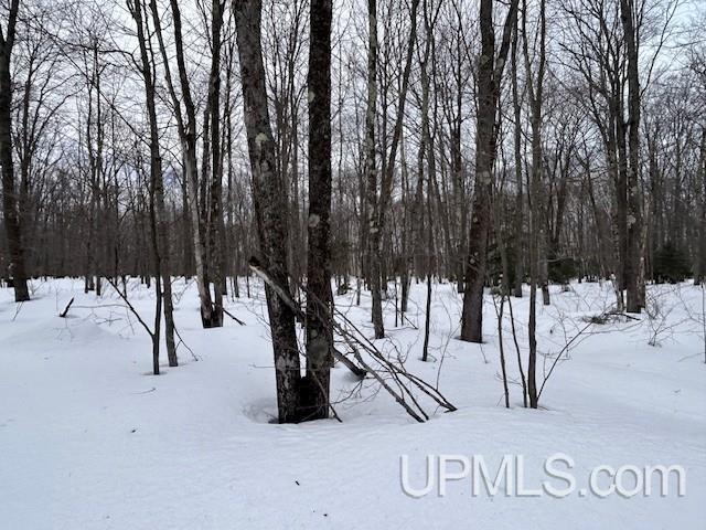 53554 North Superior Road Houghton, MI 49931 - Photo 30 of 41