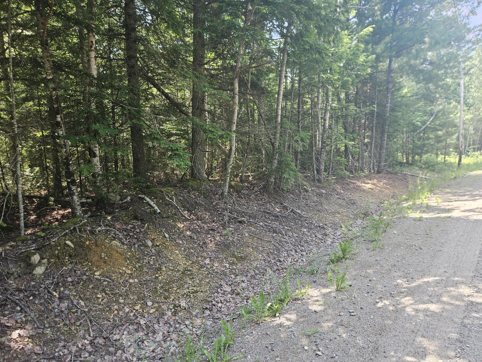 6 Myra Road Greenbush, ME 04418 - Photo 12 of 36 20250703_115810