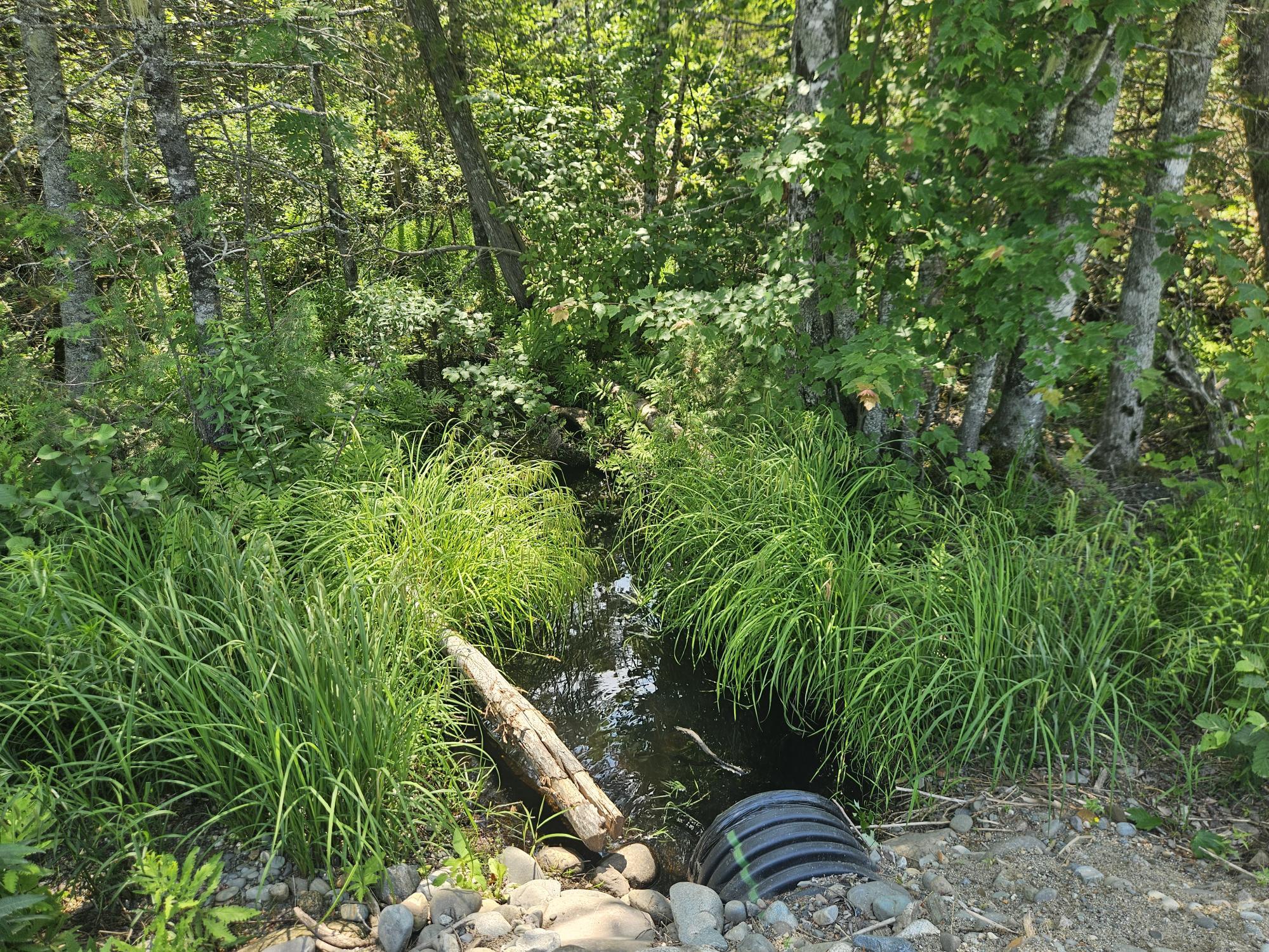 6 Myra Road Greenbush, ME 04418 - Photo 16 of 36 20250703_120124