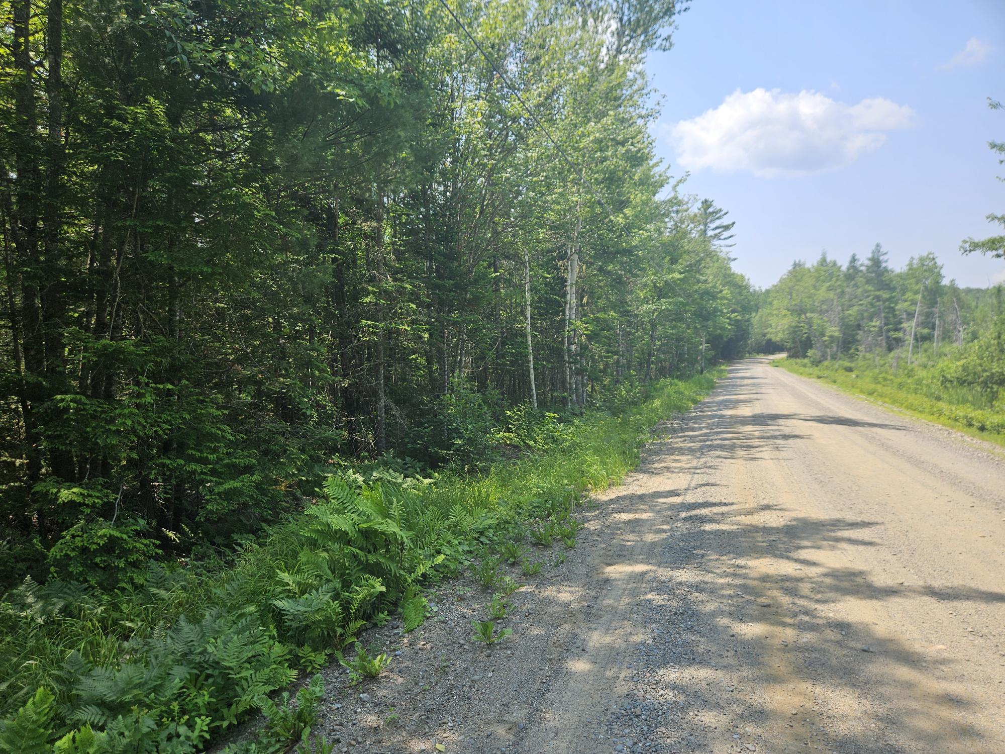 6 Myra Road Greenbush, ME 04418 - Photo 17 of 36 20250703_120206