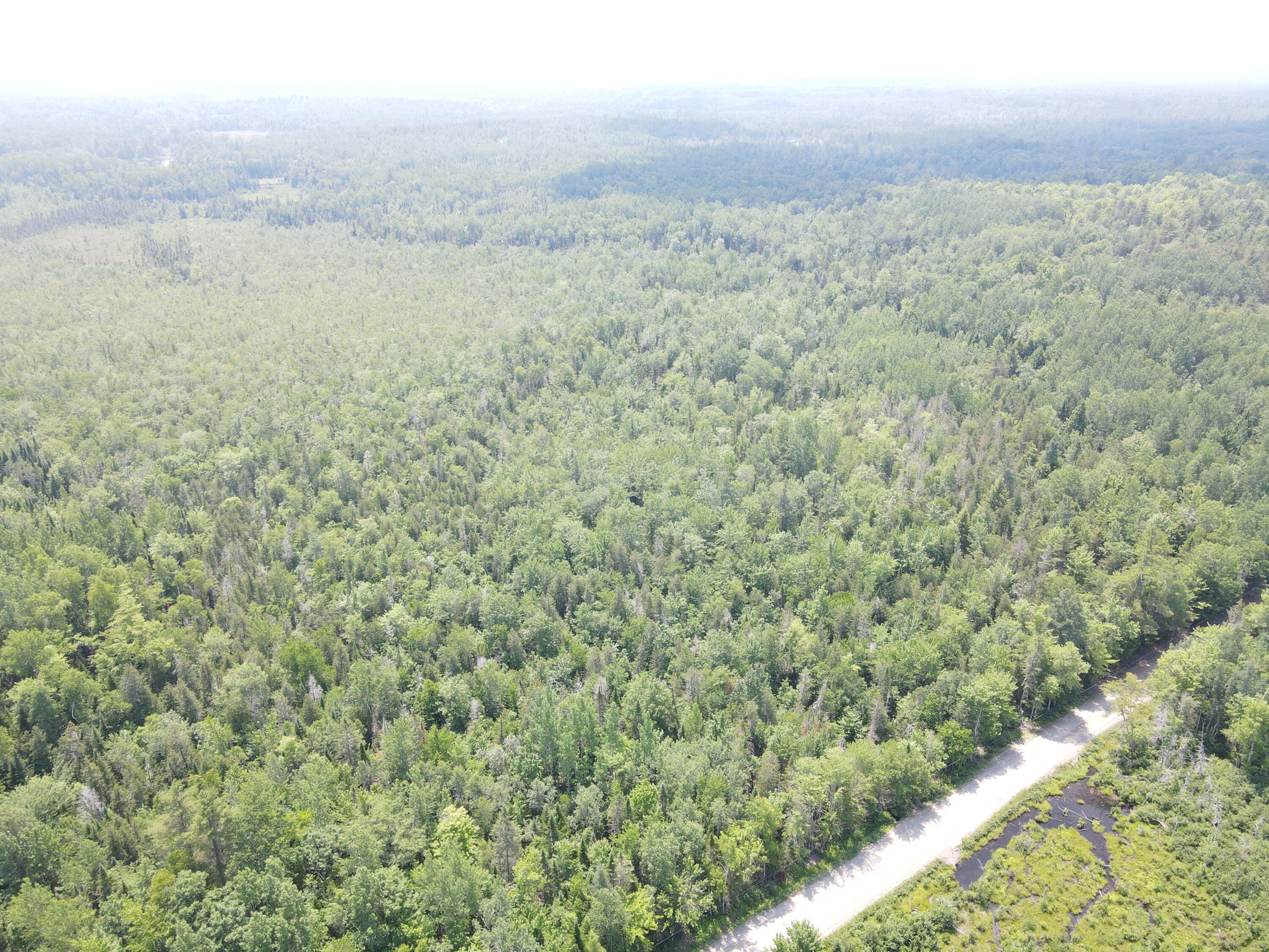 6 Myra Road Greenbush, ME 04418 - Photo 18 of 36 dji_fly_20250703_121422_404_175155928381