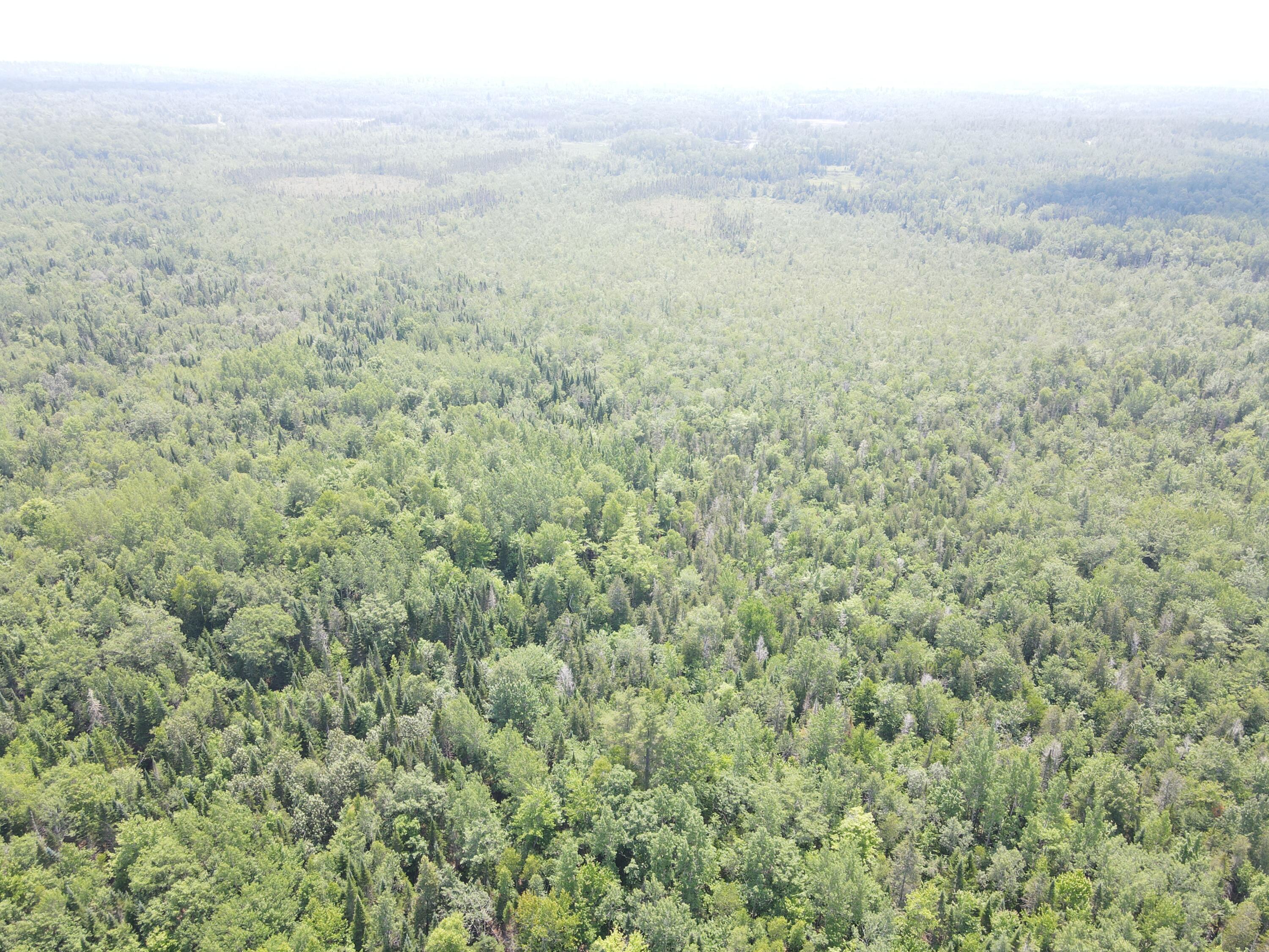 6 Myra Road Greenbush, ME 04418 - Photo 19 of 36 dji_fly_20250703_121432_405_175155929534