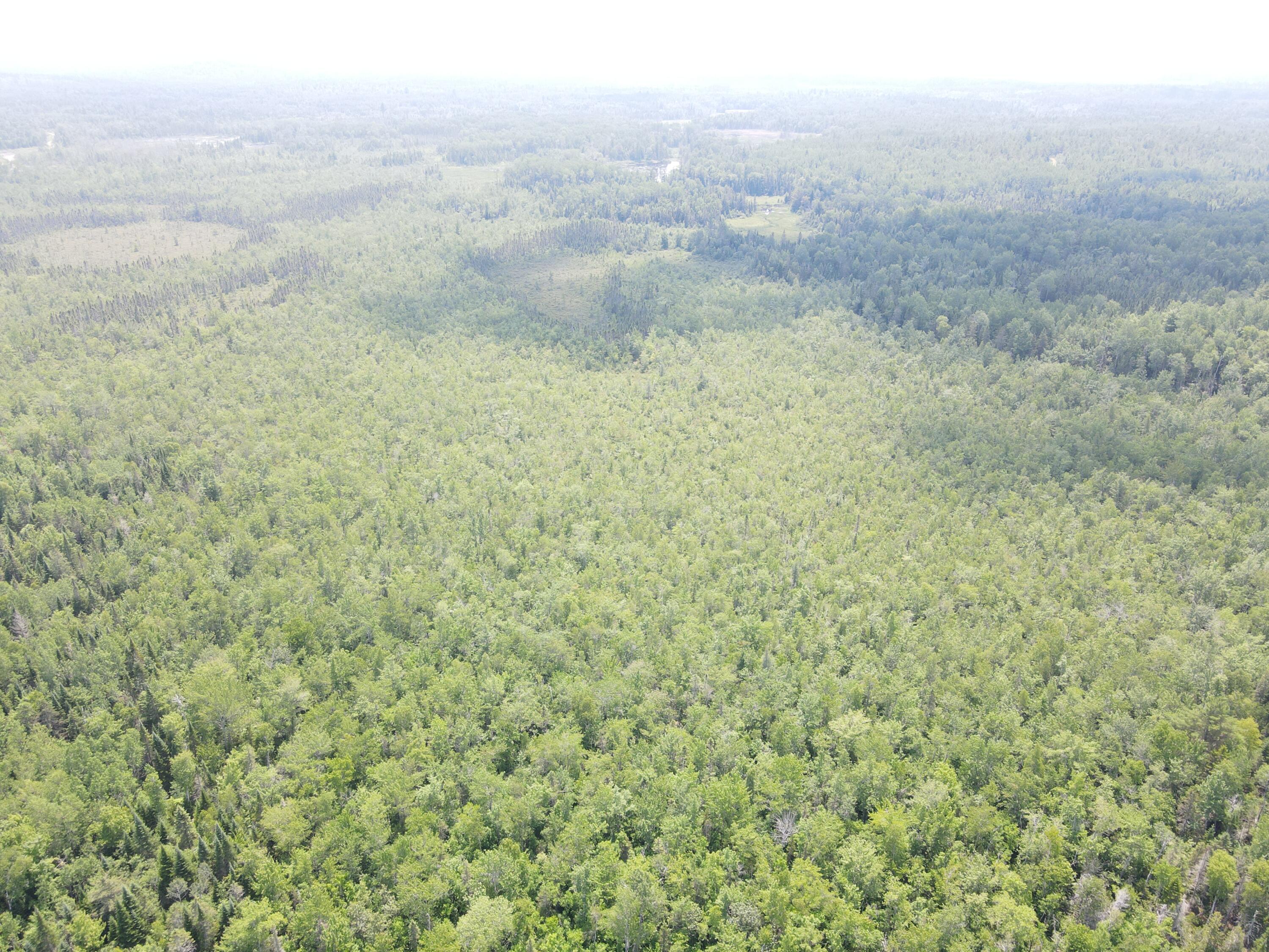 6 Myra Road Greenbush, ME 04418 - Photo 21 of 36 dji_fly_20250703_121518_407_175155934131