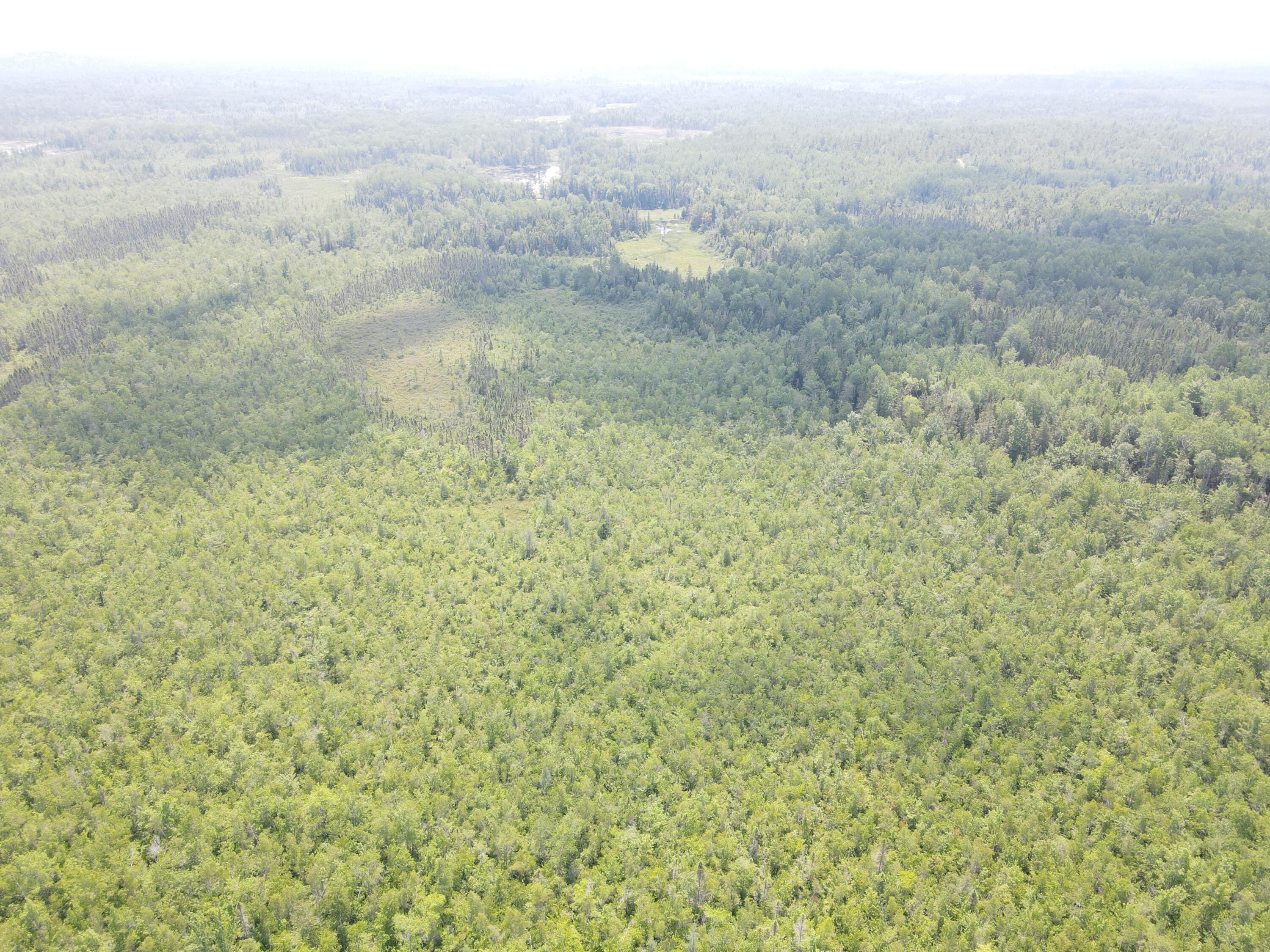 6 Myra Road Greenbush, ME 04418 - Photo 22 of 36 dji_fly_20250703_121528_408_175155937524