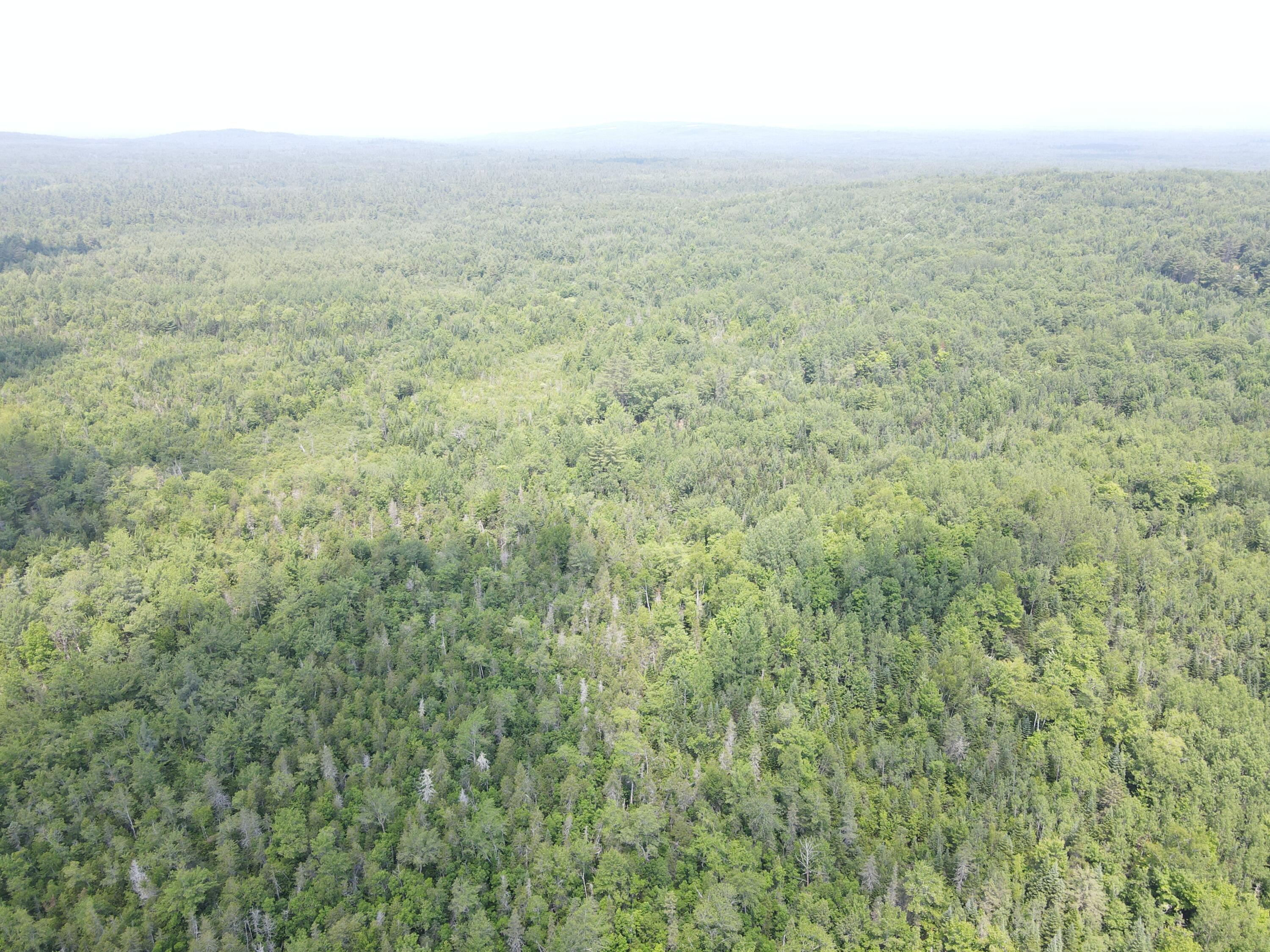 6 Myra Road Greenbush, ME 04418 - Photo 23 of 36 dji_fly_20250703_121554_409_175155939470