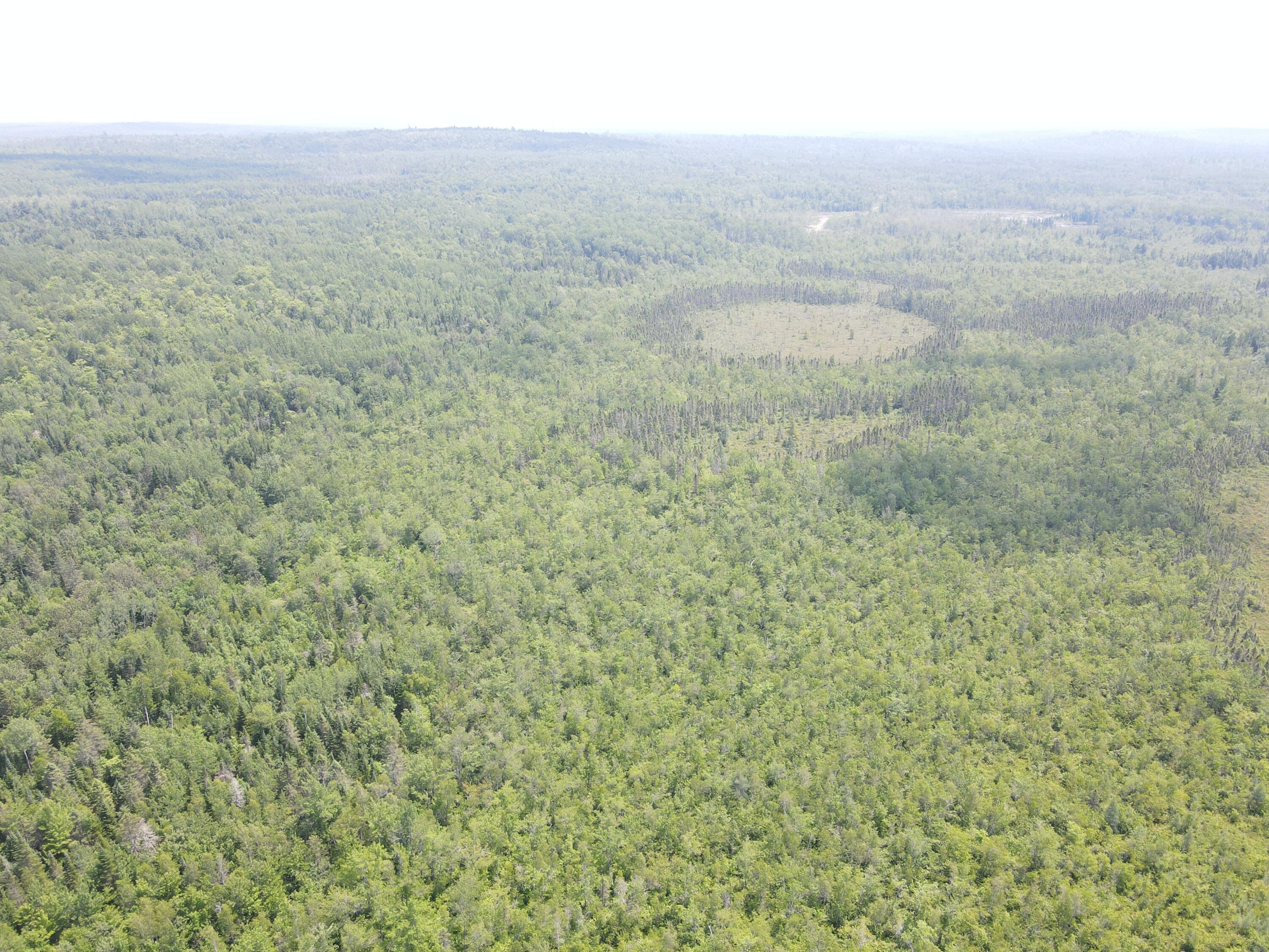 6 Myra Road Greenbush, ME 04418 - Photo 24 of 36 dji_fly_20250703_121600_410_175155941263