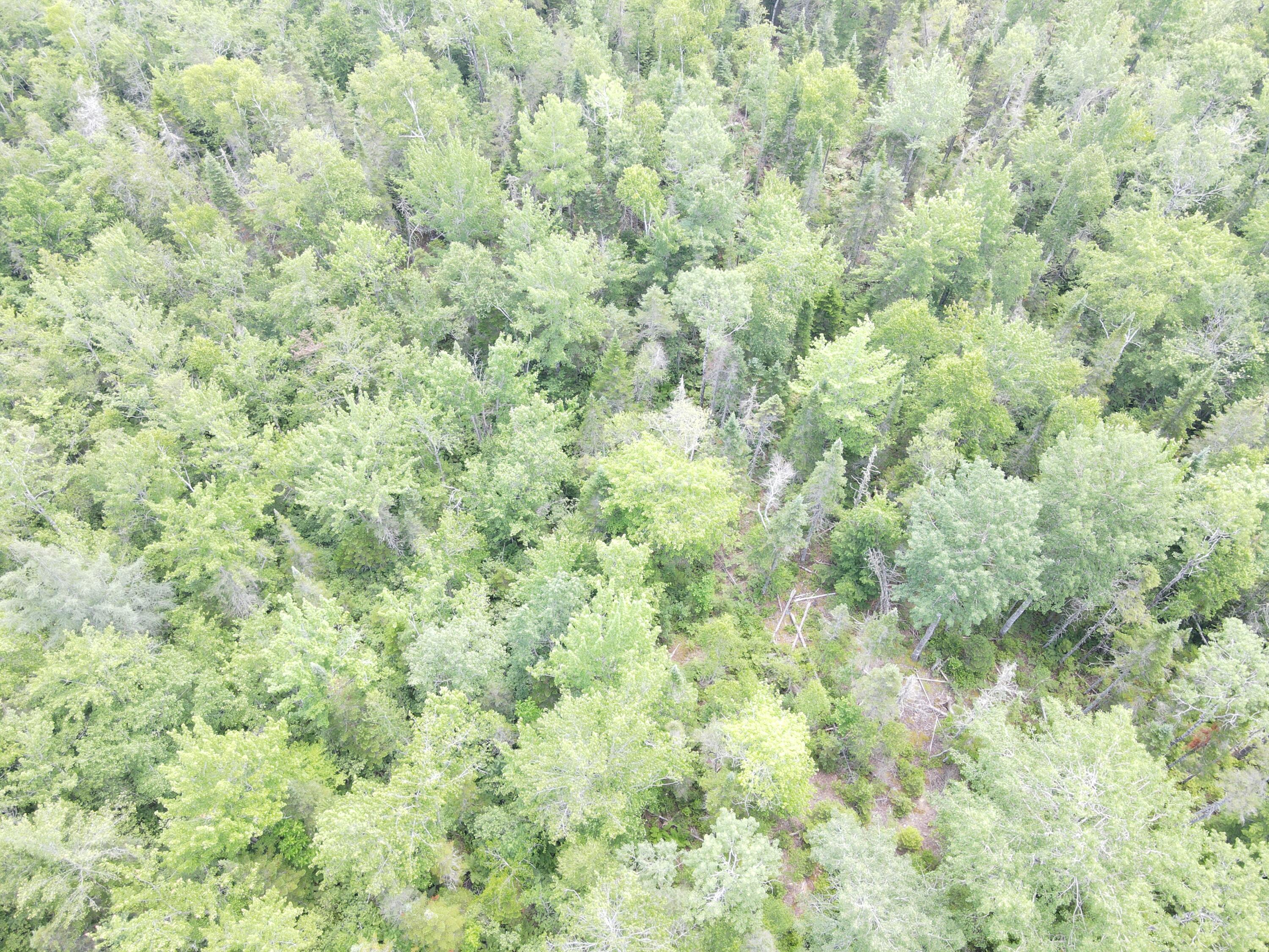 6 Myra Road Greenbush, ME 04418 - Photo 27 of 36 dji_fly_20250703_121754_413_175155949457