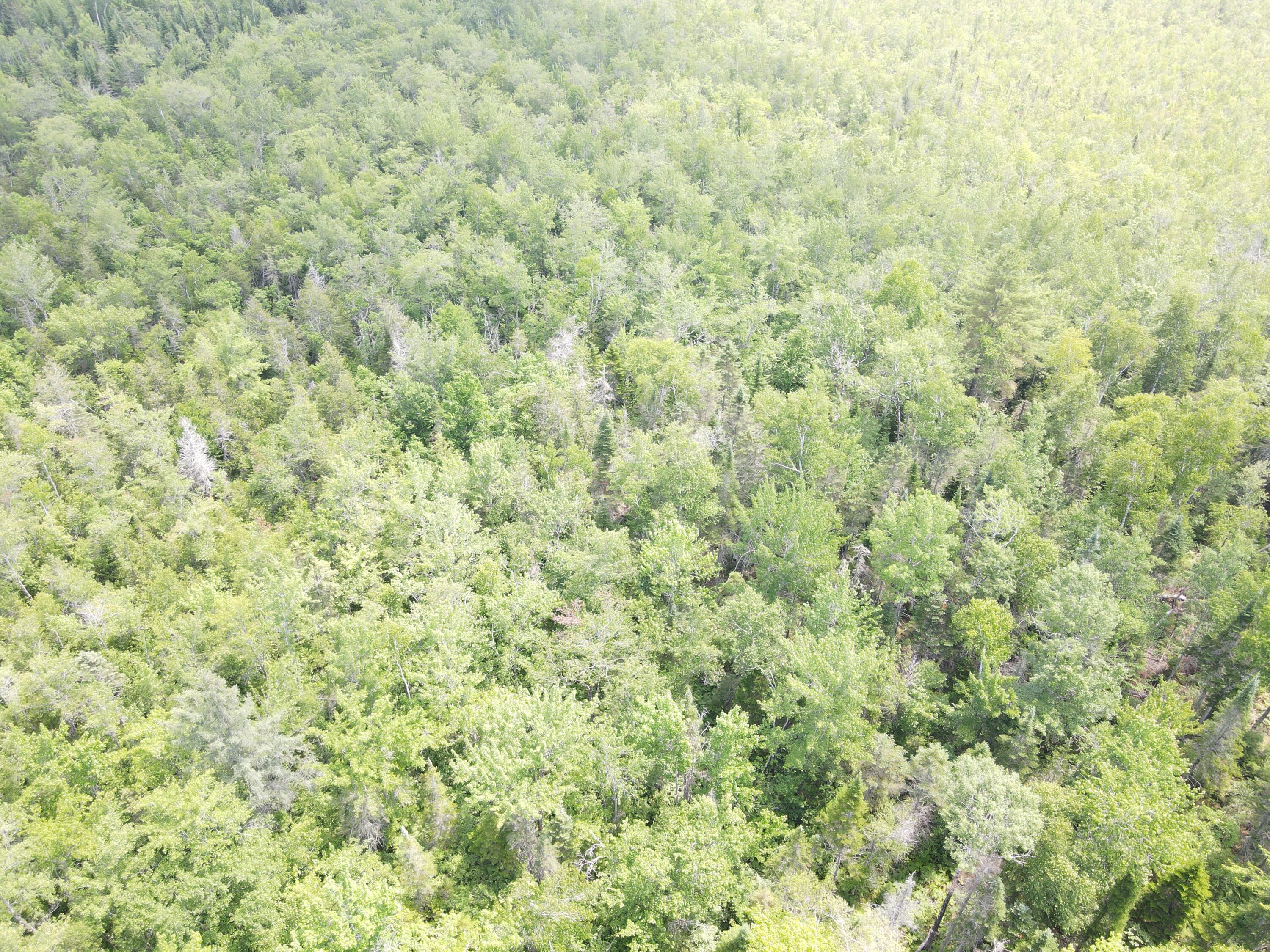 6 Myra Road Greenbush, ME 04418 - Photo 28 of 36 dji_fly_20250703_121814_414_175155951581