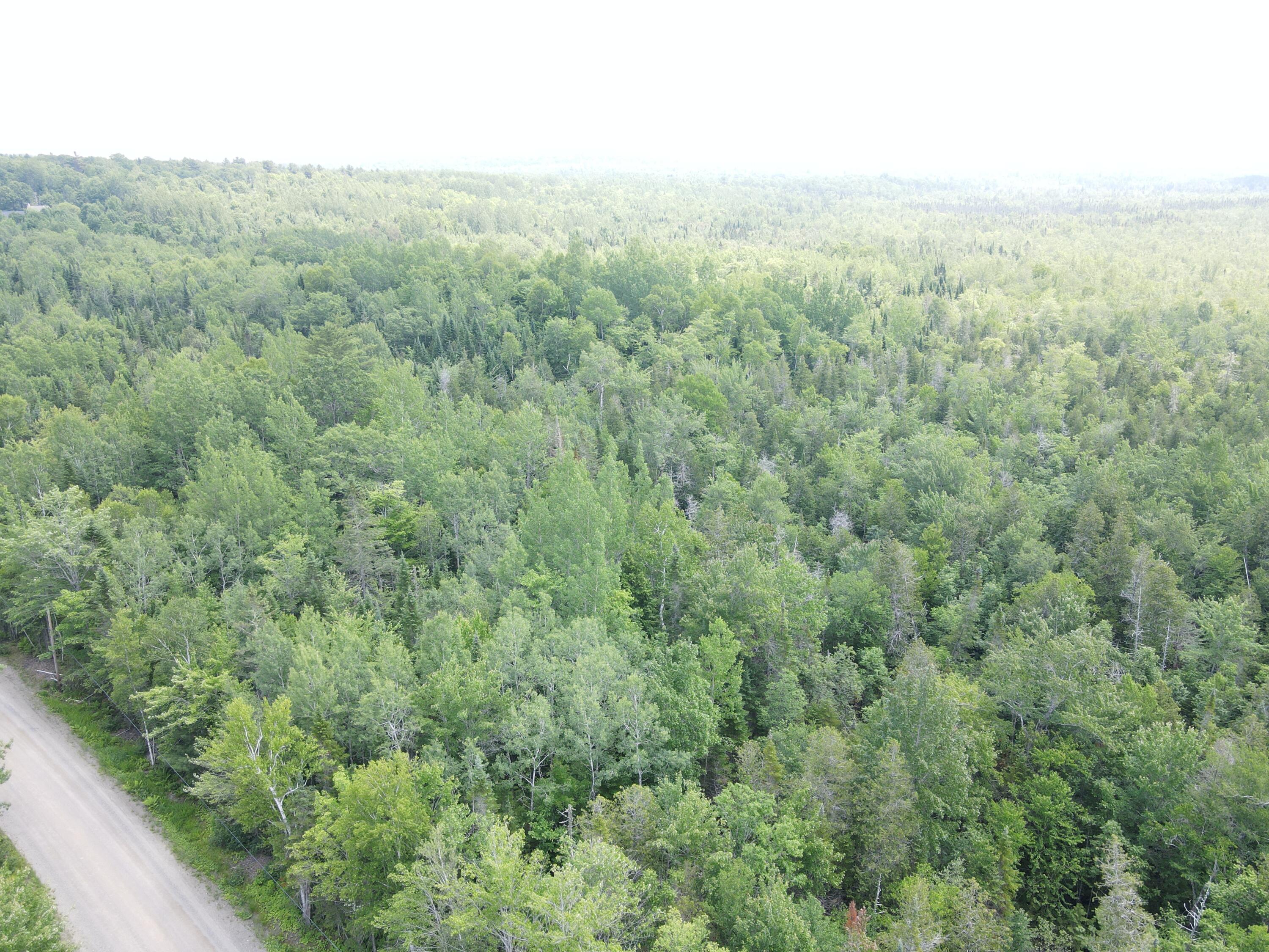 6 Myra Road Greenbush, ME 04418 - Photo 30 of 36 dji_fly_20250703_121934_416_175155958955