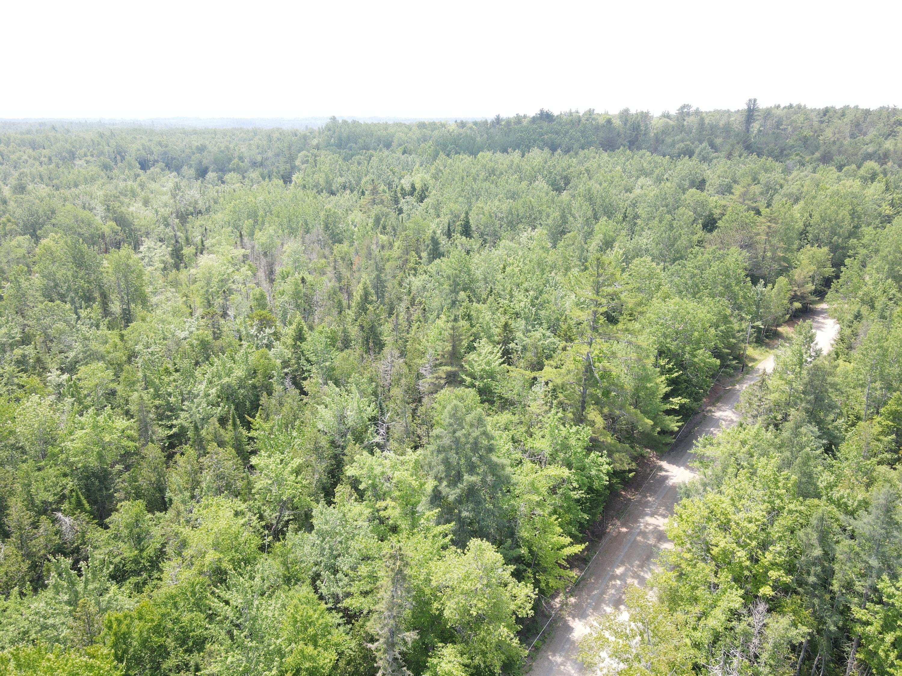 6 Myra Road Greenbush, ME 04418 - Photo 31 of 36 dji_fly_20250703_121938_417_175155959549