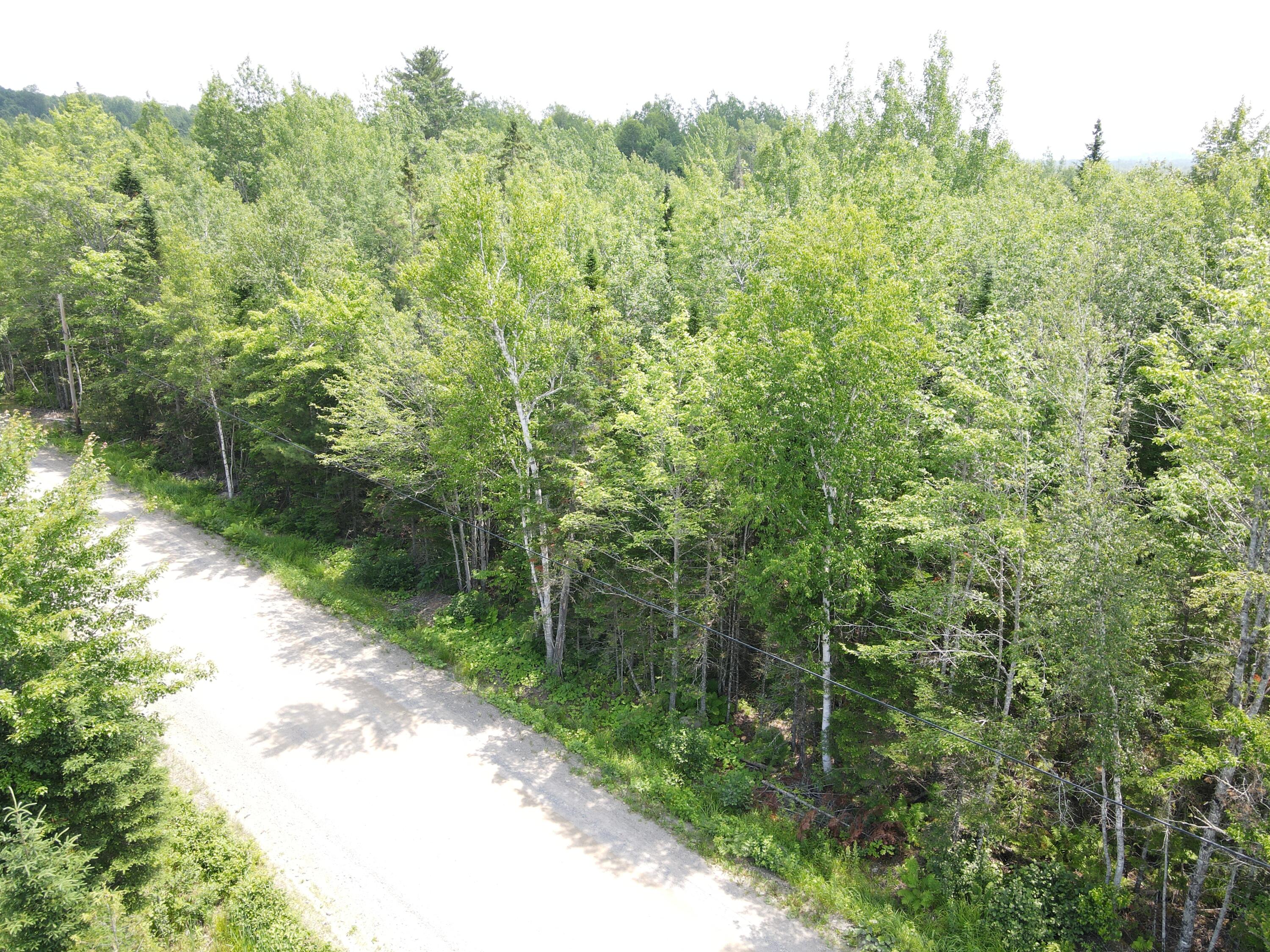 6 Myra Road Greenbush, ME 04418 - Photo 32 of 36 dji_fly_20250703_121956_418_175155961183