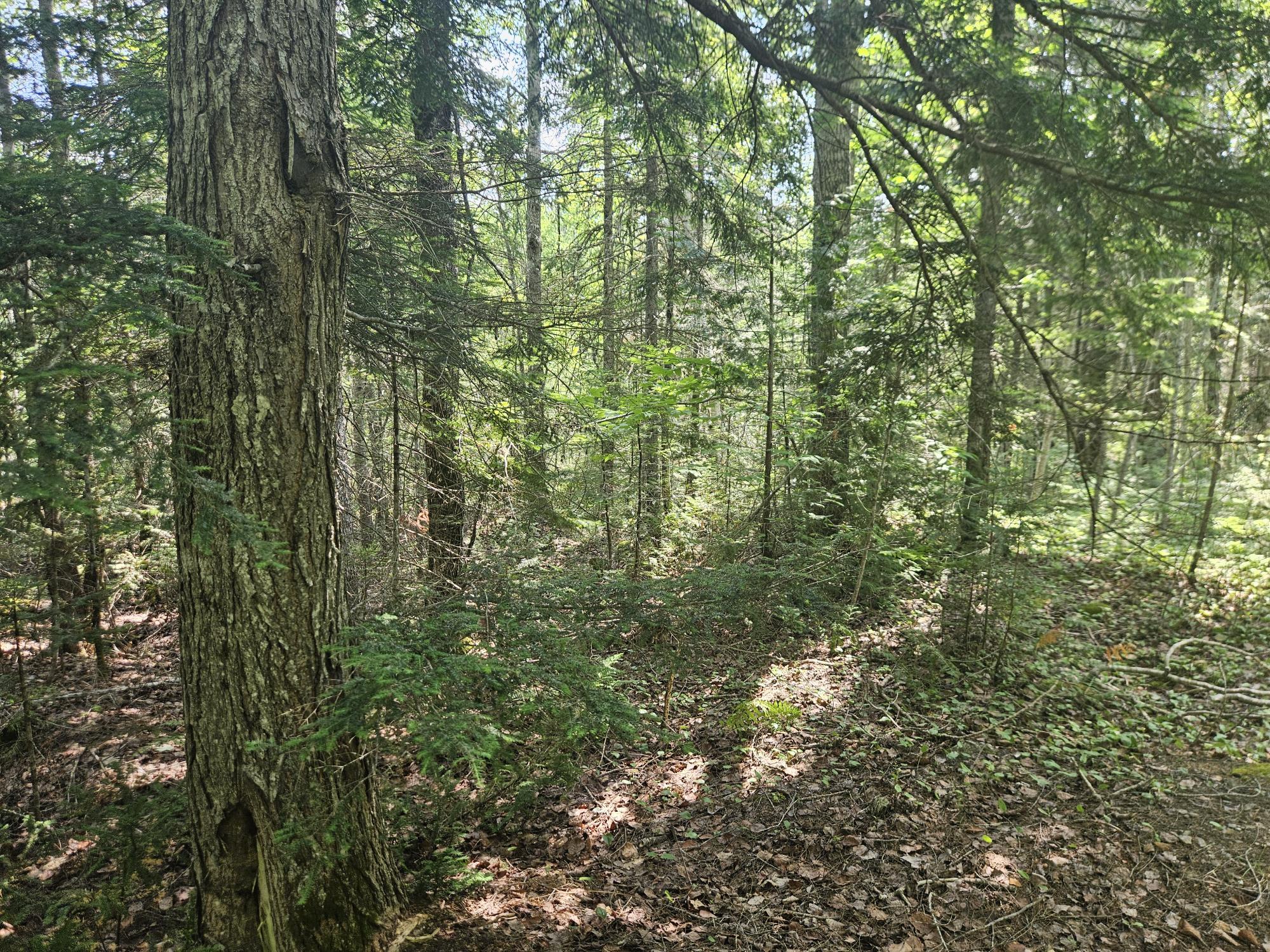 6 Myra Road Greenbush, ME 04418 - Photo 4 of 36 20250703_115326