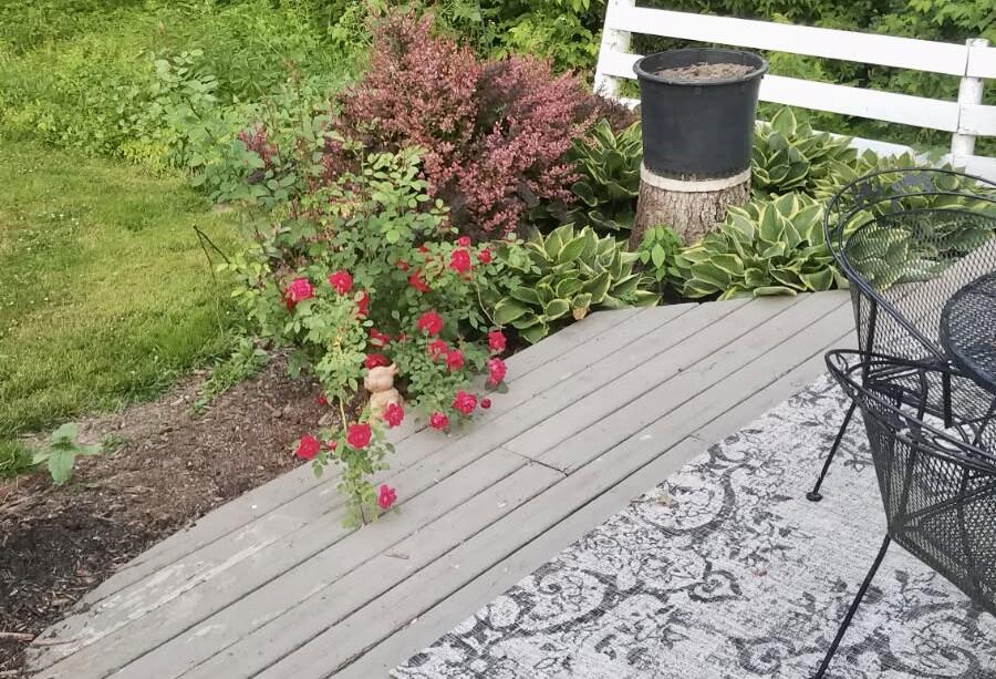 W14242 Hein Lane Ettrick, WI 54627 - Photo 11 of 14 image000001