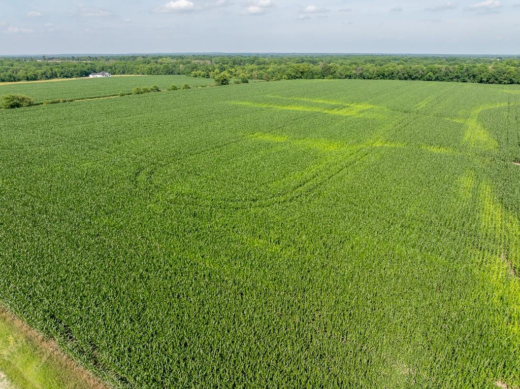 South Staley Mound Road Pleasant Hill, MO 64080 - Photo 13 of 24