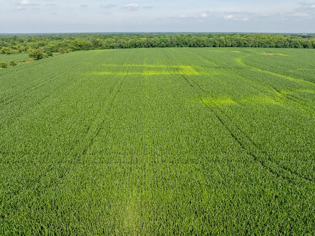 South Staley Mound Road Pleasant Hill, MO 64080 - Photo 14 of 24