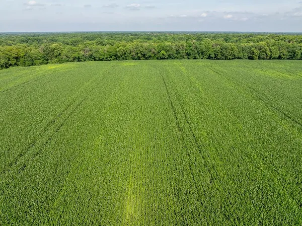 $235,000 | South Staley Mound Road, Pleasant Hill, MO 64080