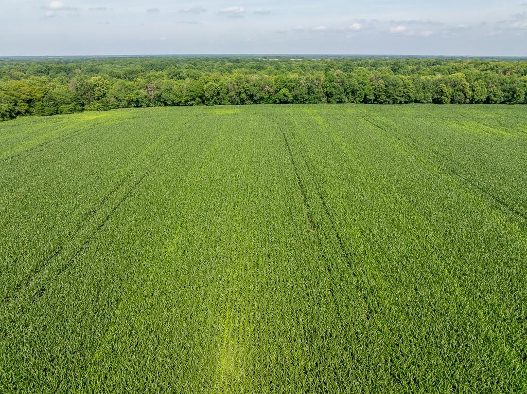 South Staley Mound Road Pleasant Hill, MO 64080 - Photo 15 of 24