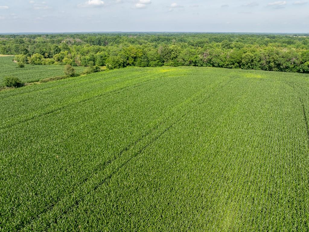 South Staley Mound Road Pleasant Hill, MO 64080 - Photo 16 of 24