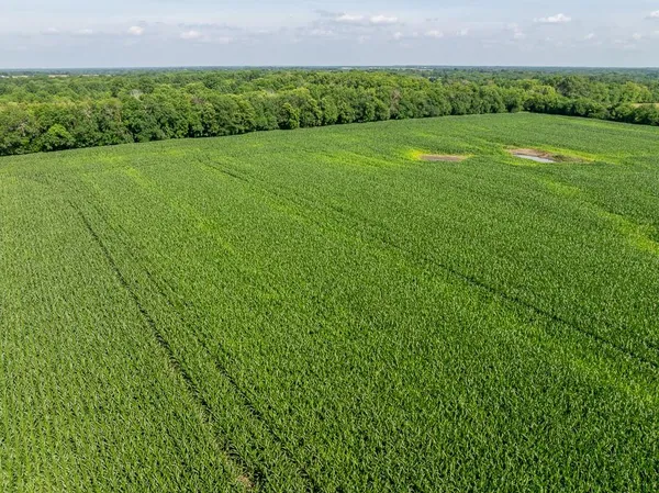 $235,000 | South Staley Mound Road, Pleasant Hill, MO 64080