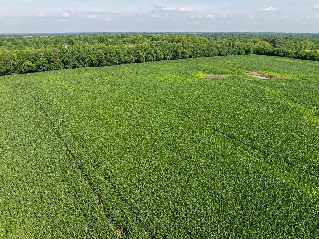 South Staley Mound Road Pleasant Hill, MO 64080 - Photo 17 of 24