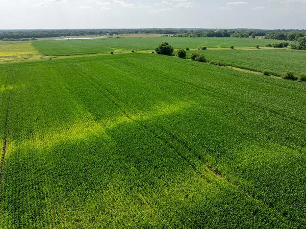 $235,000 | South Staley Mound Road, Pleasant Hill, MO 64080
