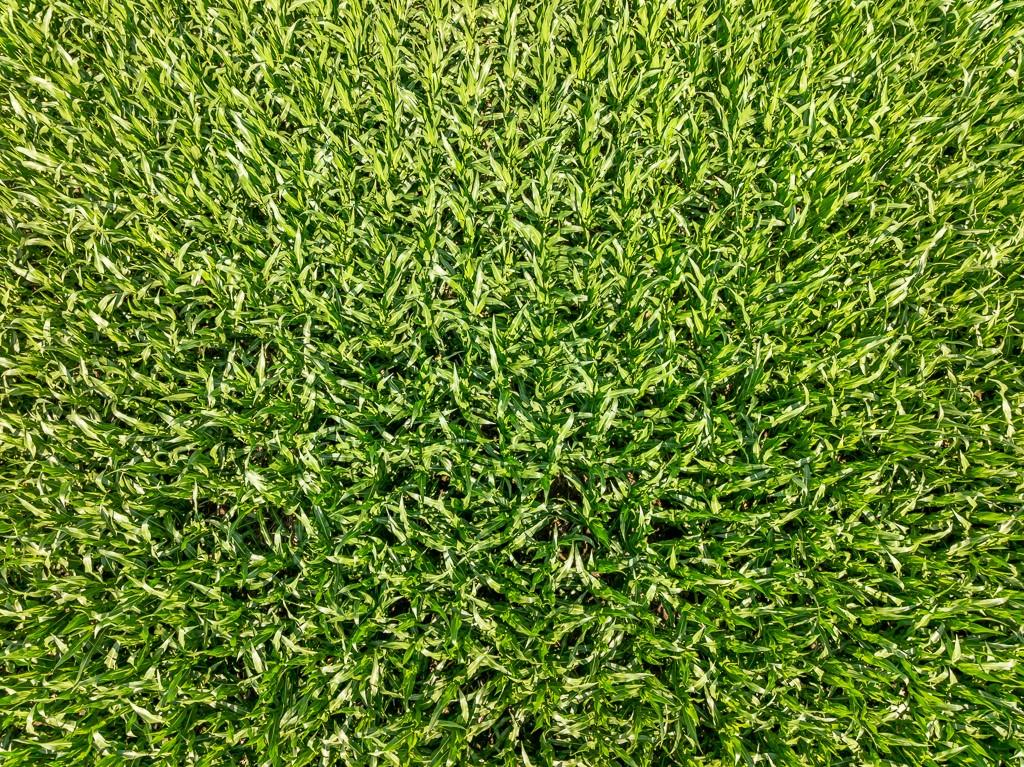 South Staley Mound Road Pleasant Hill, MO 64080 - Photo 22 of 24