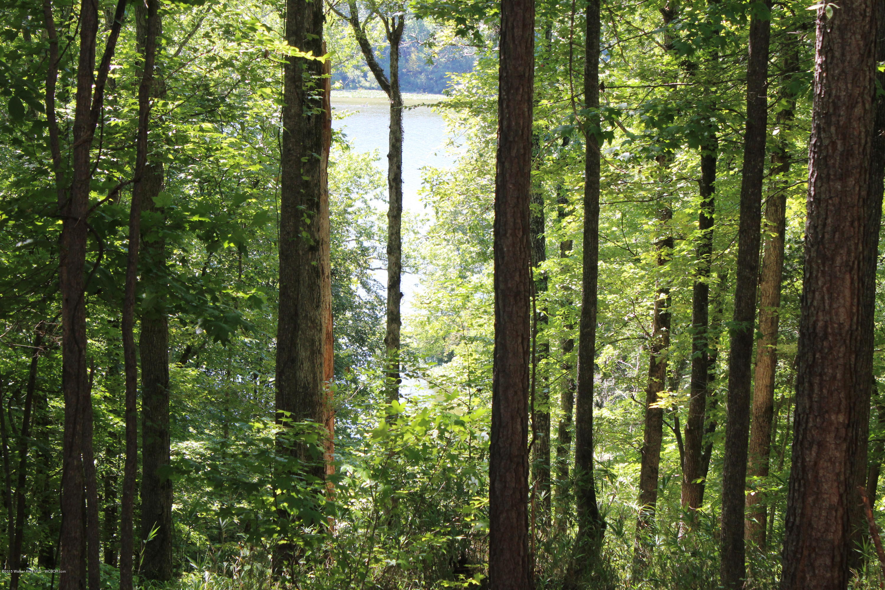 Parcel 'a' Eagle Port Road Quinton, AL 35130 - Photo 10 of 11 Gallery Image 10