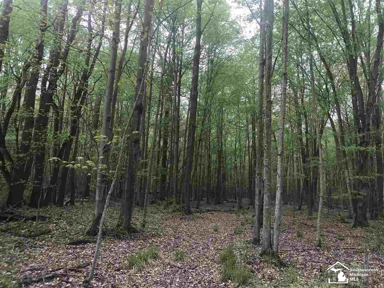 0 Bunton Road Milan, MI 48160 - Photo 10 of 22