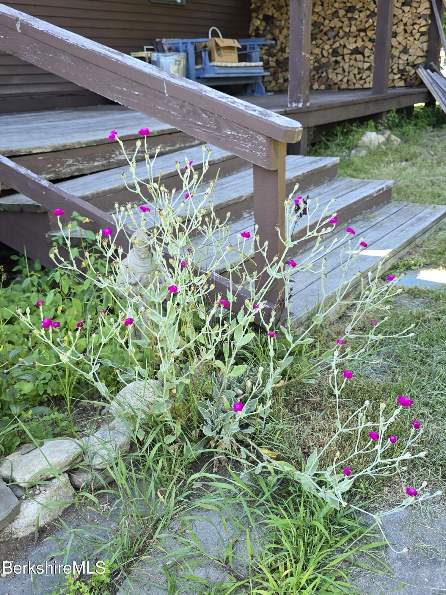 266 Robillard Road Stamford, VT 05352 - Photo 32 of 45 Back Deck Stairs-Perennials