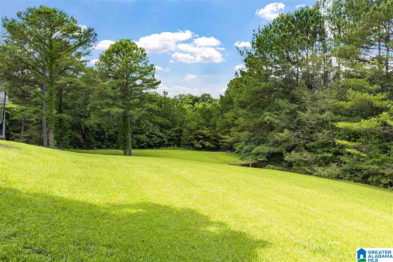 539 Faulkner Road Oneonta, AL 35121 - Photo 23 of 27