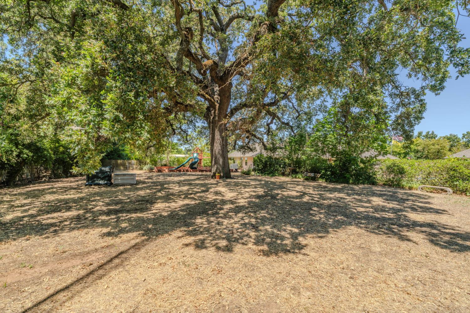9069 Bader Road Elk Grove, CA 95624 - Photo 64 of 70 Spacious backyard featuring a prominent heritage oak tree with extensive canopy, providing natural shade